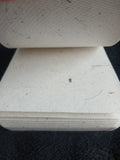 ELEPHANT ~ ECO FRIENDLY NOTE PAD!
